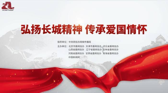 以撒的结合：胎衣